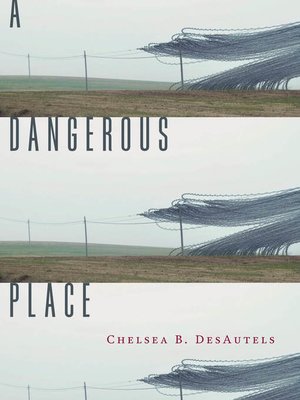 cover image of A Dangerous Place